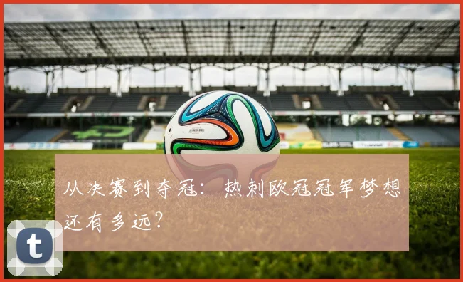 从决赛到夺冠：热刺欧冠冠军梦想还有多远？